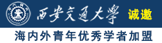 插插插大全诚邀海内外青年优秀学者加盟西安交通大学